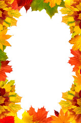 Colorful autumn maple leaves card for your text