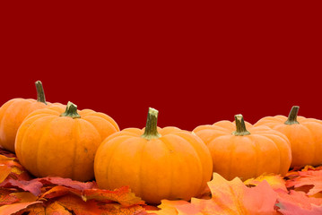 Pumpkins with fall leaves