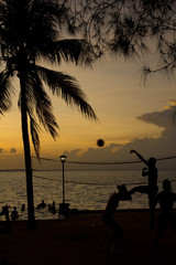 beach volleyball, sunset on the beach - 35995981