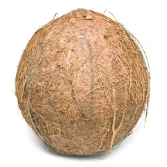 Coconut on white background