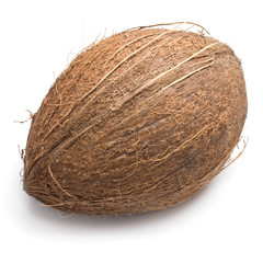 Coconut on white background
