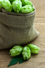 Hop in a burlap bag on wooden background
