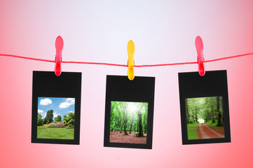 Picture frames with nature photos