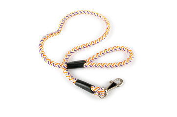 Dog collar isolated on the white background