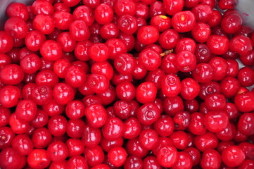 cherry background