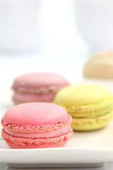 Fototapeta na wymiar Colorful Macaron in close up isolated on white background