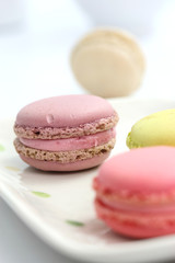 Colorful Macaron in close up isolated on white background