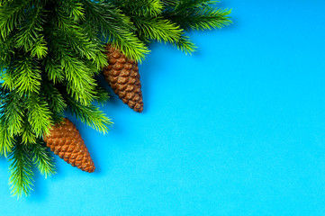 Fir tree and christmas decoration