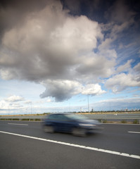 Fototapeta premium fast cat