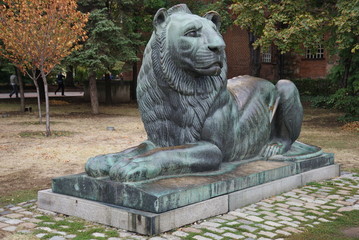 Fototapeta na wymiar brąz leo w Sofii