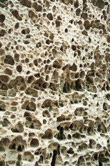 Porous sandstone structure