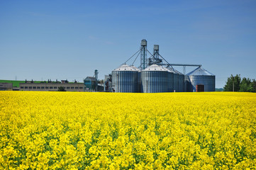Organic farm silo, agriculture