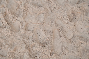Beachwalk