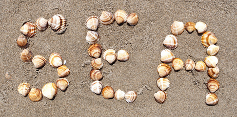 Word "SEA" made with small sea shells
