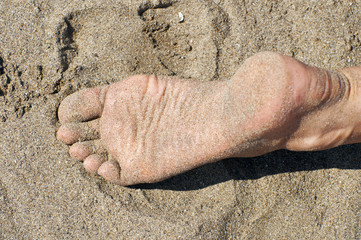 Feet on tropical beach