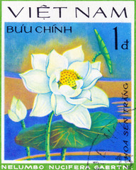 VIETNAM - CIRCA 1978