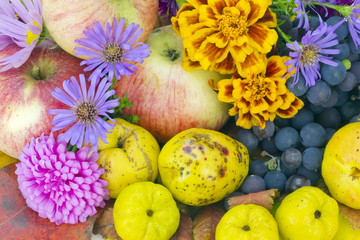 Real colors of autumn