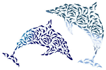 two complex dolphin silhouettes isolated on white