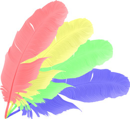 four isolated rainbow feathers