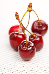 fresh cherry