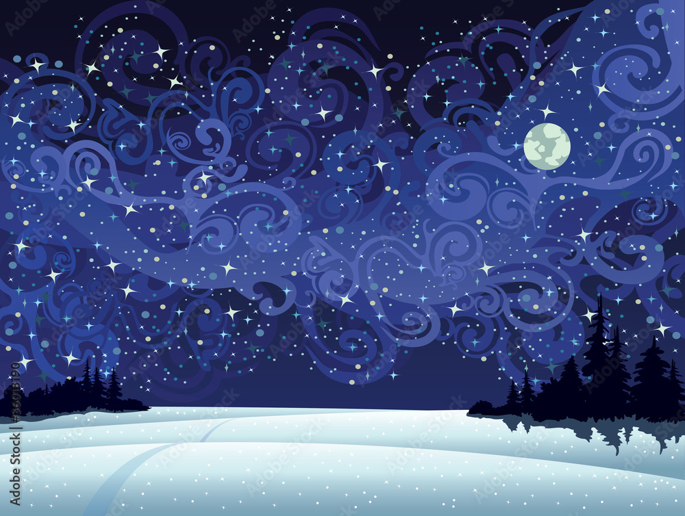 Canvas Prints night snow landscape