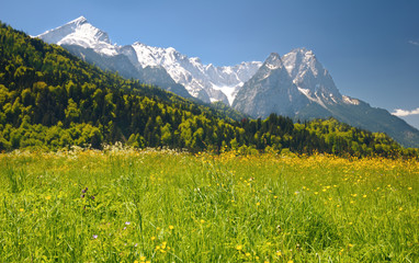 Fototapeta na wymiar Landscape in the bavarian Alps