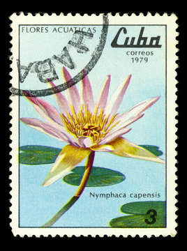 CUBA - CIRCA 1979