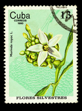 CUBA - CIRCA 1980
