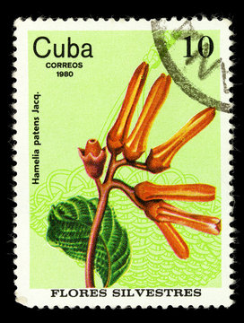 CUBA - CIRCA 1980