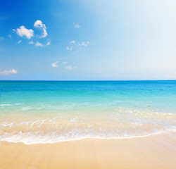 beach and tropical sea