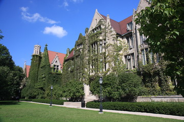 Beautiful ivy clad halls at the university