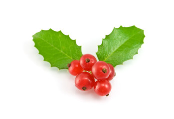 christmas decoration with holly leaves and berries