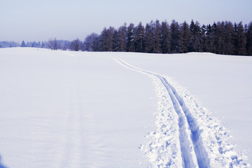 Ski track on snow field in beautiful sunny day