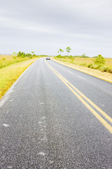Fototapeta premium road in Everglades National Park, Florida, USA