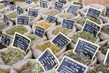 Varietà di erbe medicinali