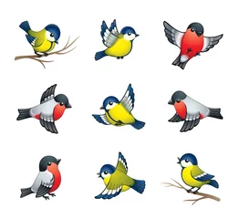 Stickers pour porte Oiseaux, abeilles Illustration des oiseaux d& 39 hiver