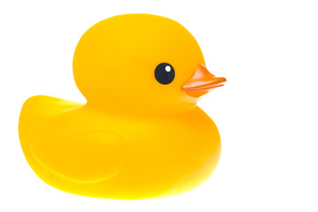 rubber duck