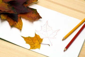 We draw the autumn