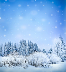 winter background with empty space for text