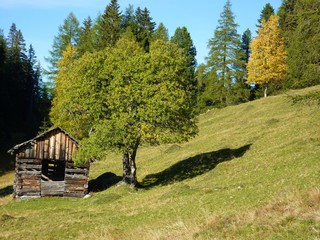 Heustadel im Herbstwald