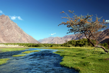 Fototapeta na wymiar Landscape with river in mountains. Himalayas