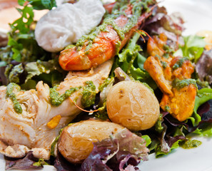 Fresh chicken salad with tomatoes