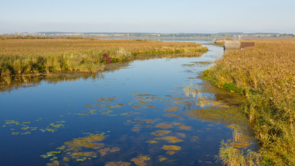 Tranquil Lake Surrounded by Reef