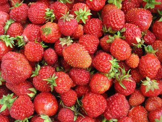 Strawberry close up - berry background