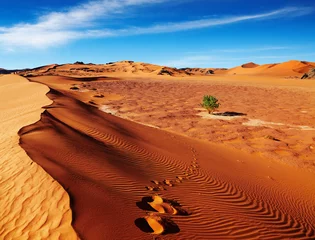 Meubelstickers Saharawoestijn, Algerije © Dmitry Pichugin