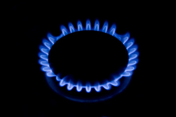 Flame of a house gas cooker in darkness