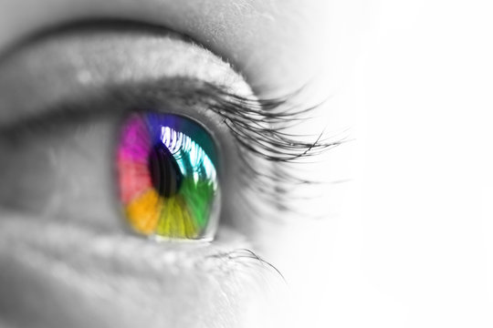 Photo d'un œil de femme isolé sur fond blanc,  vue de profil, iris multicolore arc-en-ciel,  concept de vision et couleurs, fierté gay LGBT