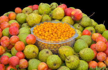 Fruits and berries 3