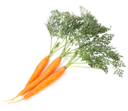 carrots with green leaves on white