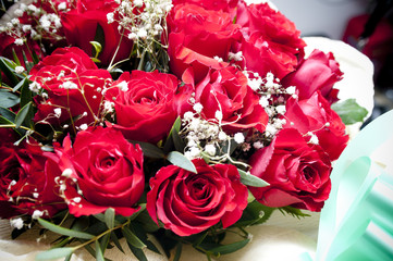 rose rosse
